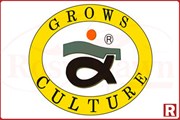 Grows Culture
