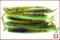 Diamond Swing Impact 4", 6шт, 401(Green Pumpkin/Chartreuse) - фото 11273