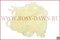 Доширак Soorex Pasta 100мм, 11шт, 210(светонакопитель/сыр) - фото 15924