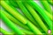 Berkley PowerBait Trout Worm (Green Chartreuse)
